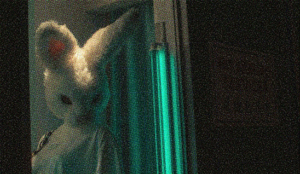 HUD App - Person wearing bunny costume - fetish 101 pet play