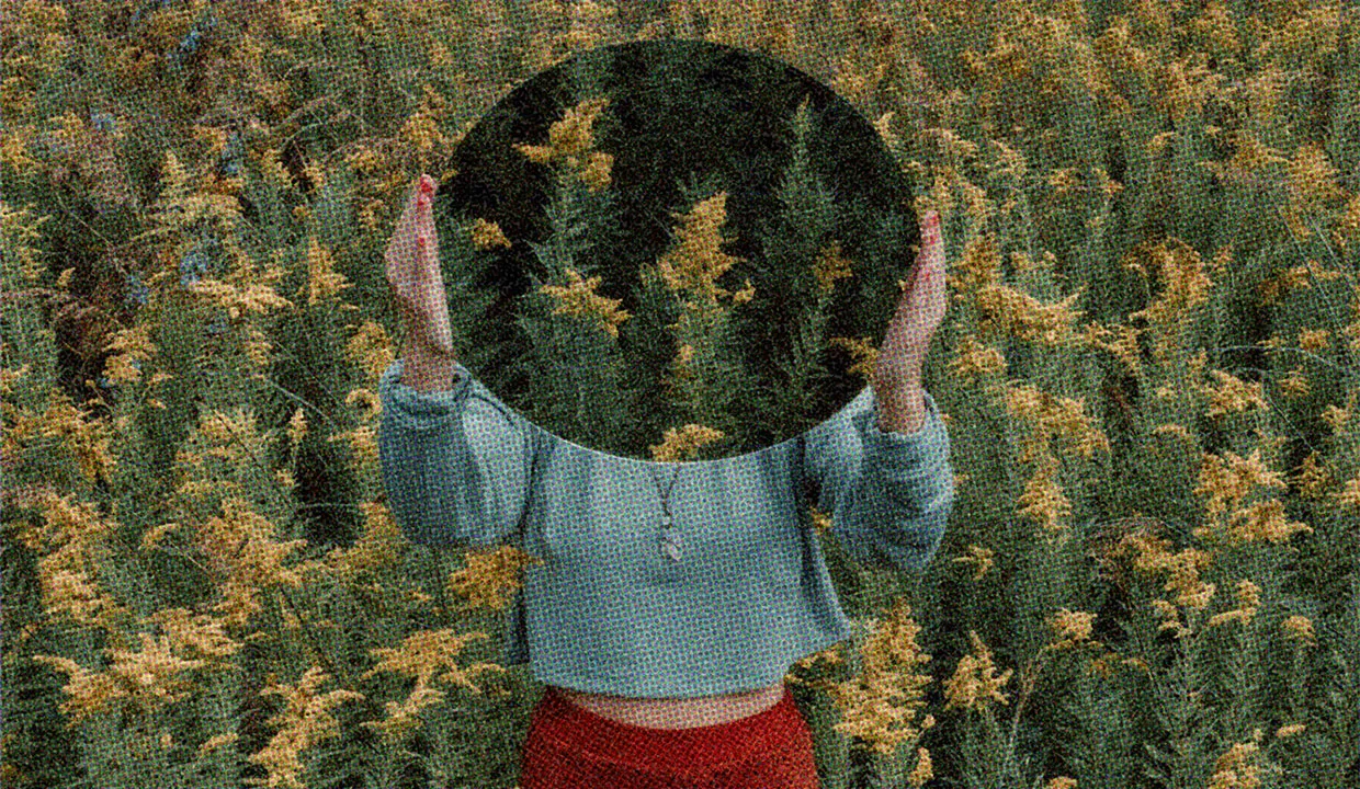 A serene scene of a person surrounded by vibrant yellow flowers in a field.