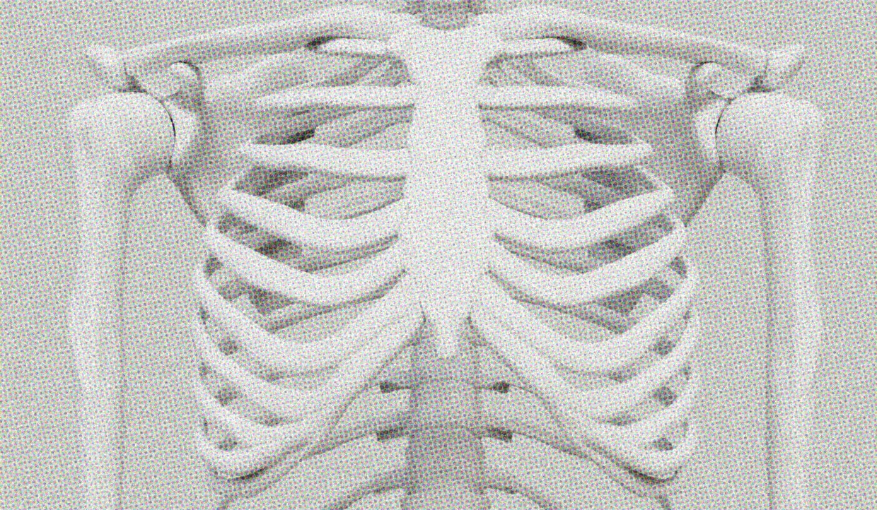 HUD App - Skeleton chest - Male Anatomy as medicine default