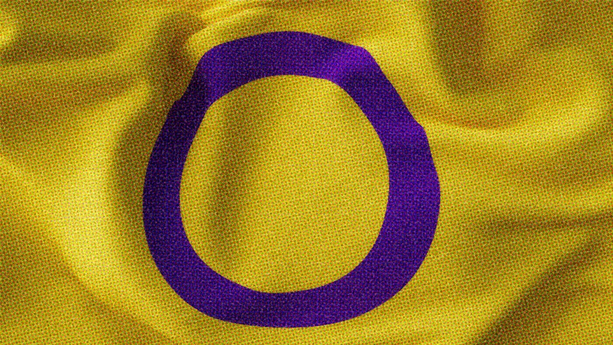 HUD App - Intersex Flag - What does Intersex mean