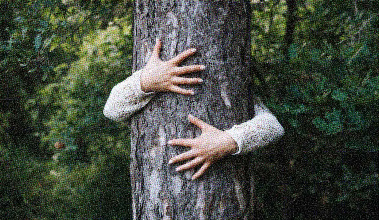 A close-up of a person's arms around a tree trunk, hugging the tree.