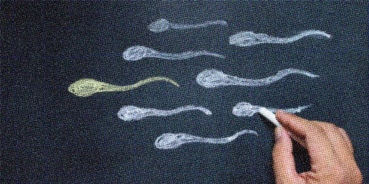 A close-up of a hand drawing sperm with chalk on a blackboard.