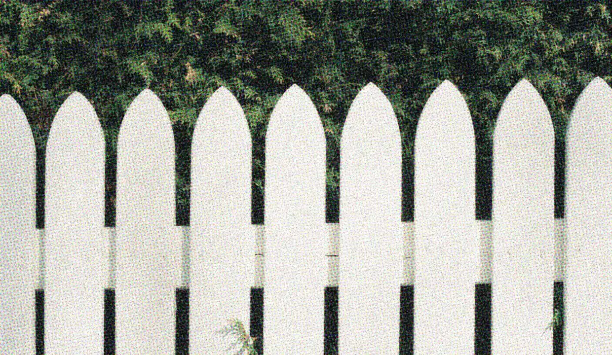 A white picket fence with greenery in the background.