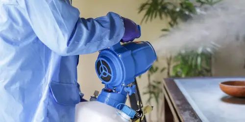 Fogging & Infection Control