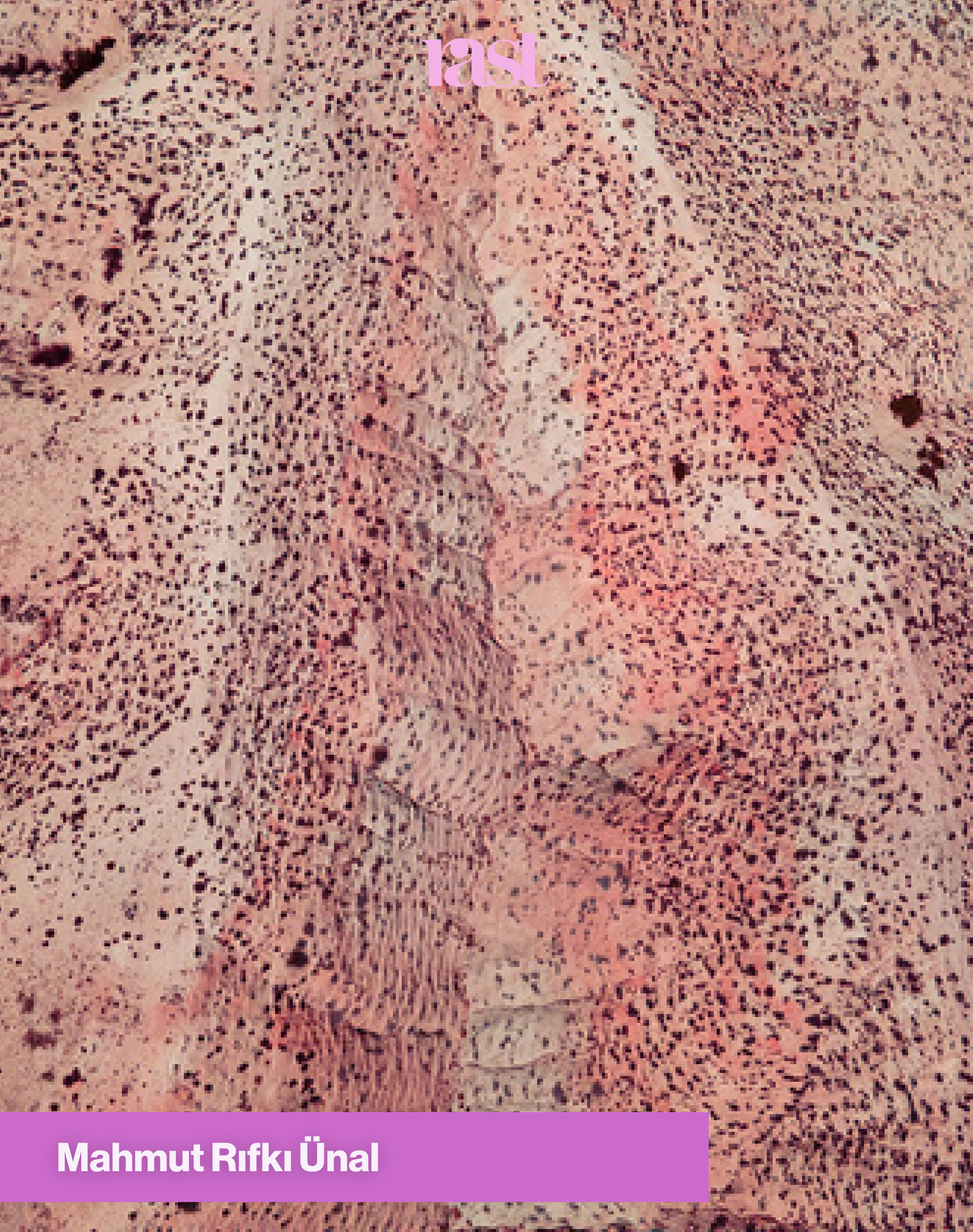 Mahmut Rıfkı Ünal