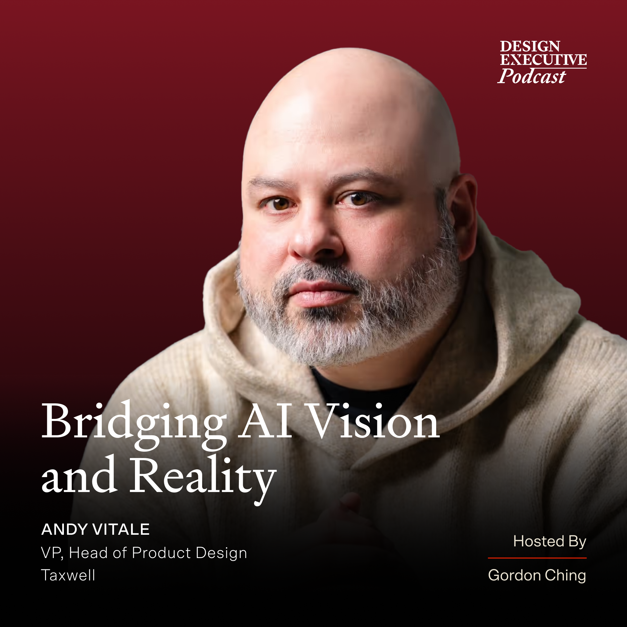 Bridging AI Vision and Reality: Idealized vs Practical Implementations of AI