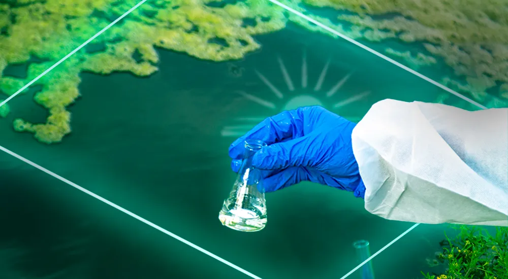 Power Your Environmental Lab with a LIMS Built for TNI Success