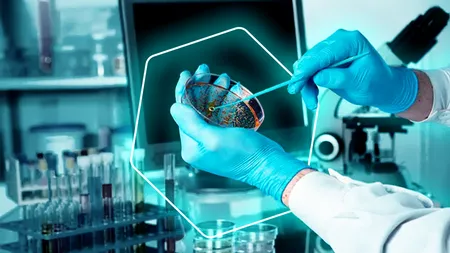 Exploring the Differences Between Microbiological and Physical-chemical Analysis
