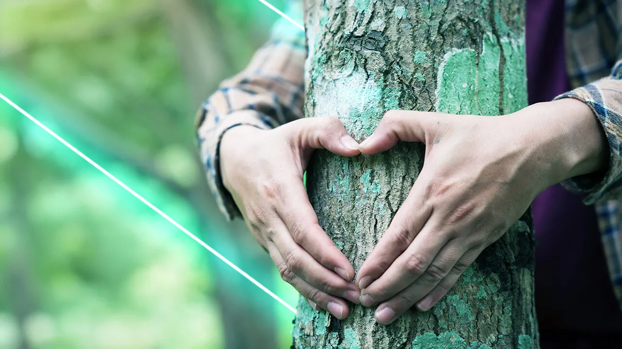 Environmental Impact