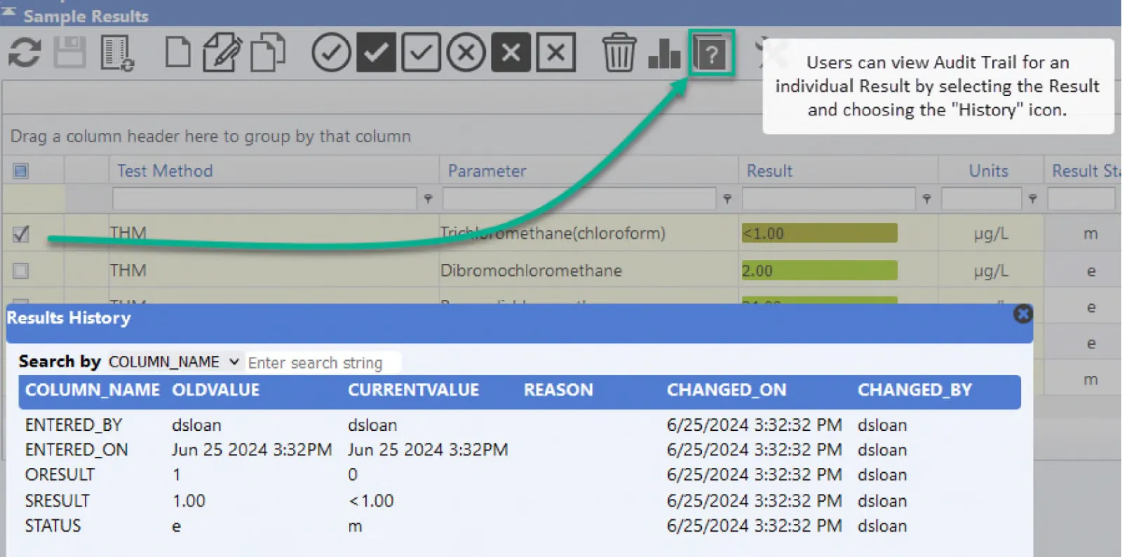 Audit Trail Screenshot