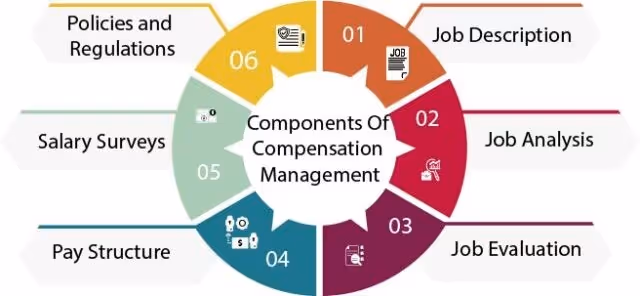 Circular graphic showing components of compensation management: job description, analysis, evaluation, pay, surveys, policies