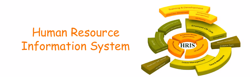 HRIS diagram showing training, development, compensation, and employee data modules around a circular HR system