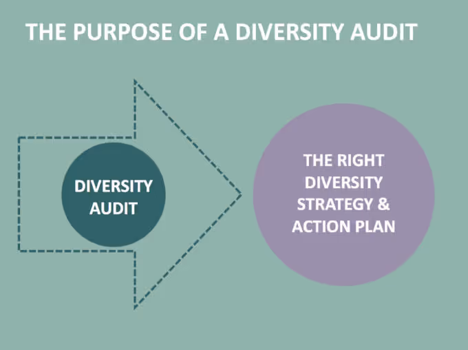 Diagram explaining how a diversity audit leads to the right diversity strategy and action plan