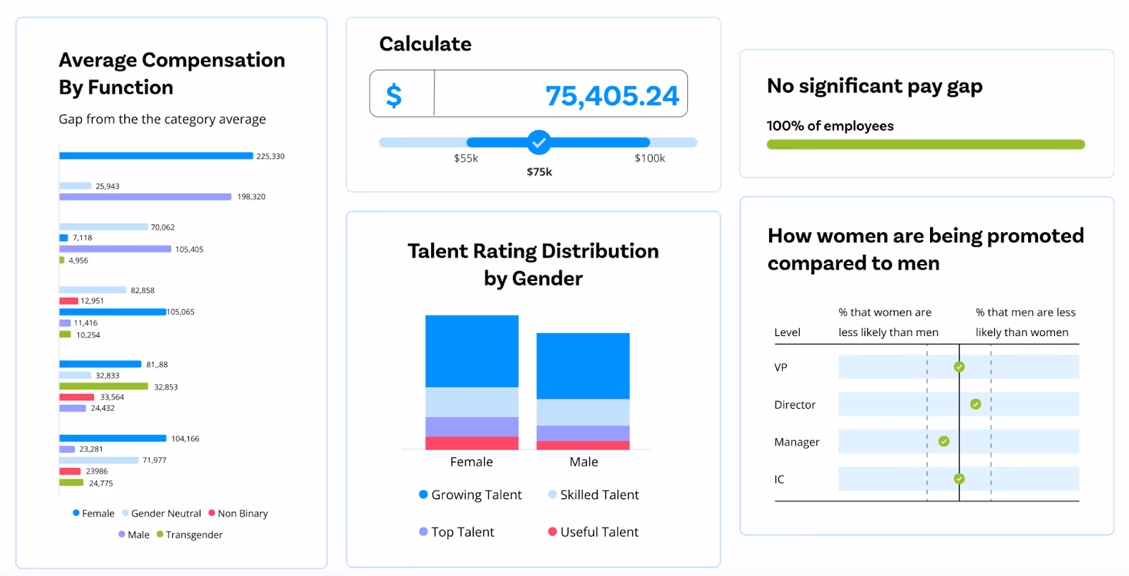 Compport pay equity platform