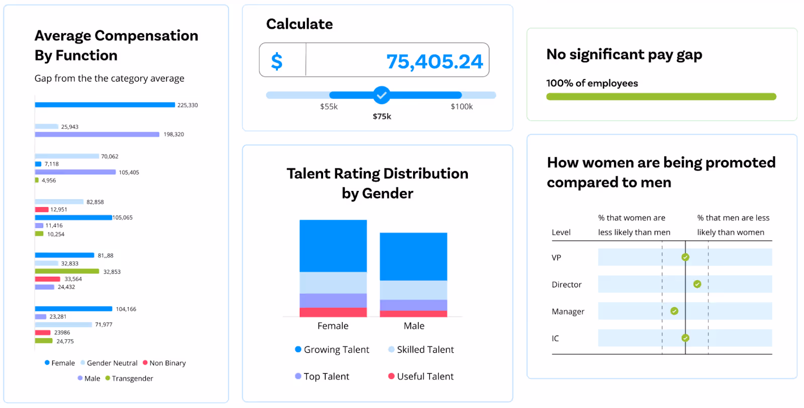 Compport pay equity software