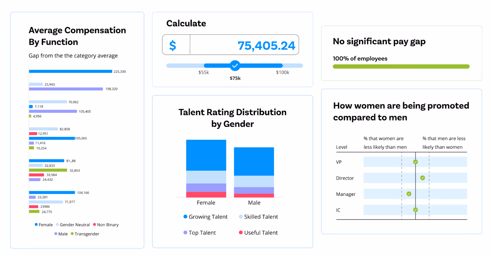 Compport pay equity software