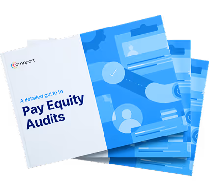 detailed step by step pay equity audit guide by compport