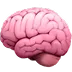 Pink human brain illustration representing intelligence, thinking, neuroscience, or mental health