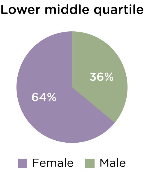 Lower middle quartile, female 64%, male 36%