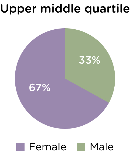 Upper middle, female 67% and male 33%