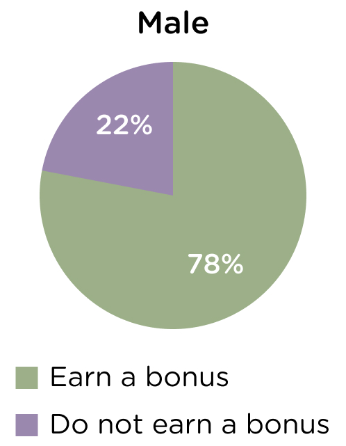 Pie chart showing 78% and 22% of male earn a bonus and do not earn a bonus