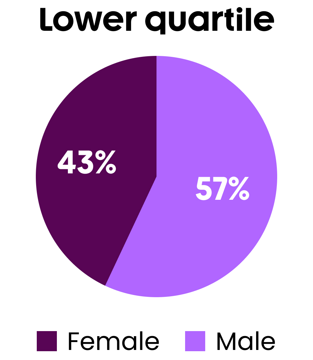 Lower quartile, female 43%, male 57%