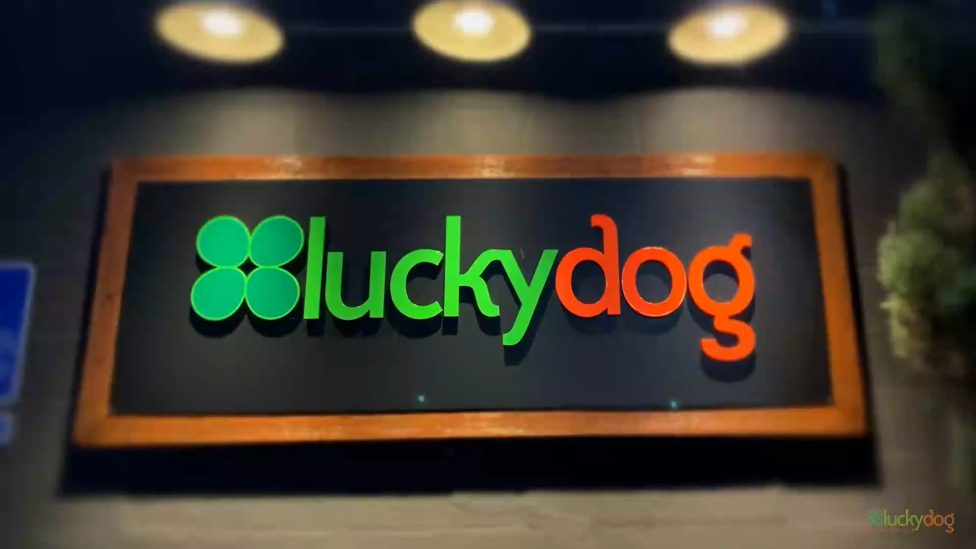 Dog Care Services Eugene Springfield Oregon Luckydog Day