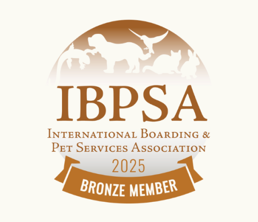 Ibpsa 2025 logo