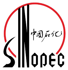 Sinodec Logo - CST Firenze
