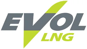 Evolving Logo - CST Firenze