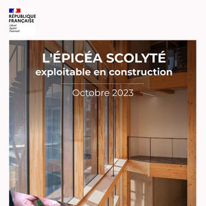 guide l'épicéa scolyté exploitable en contruction - octobre 2023
