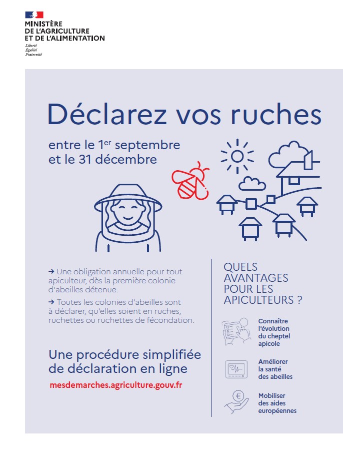 Déclarer vos ruches