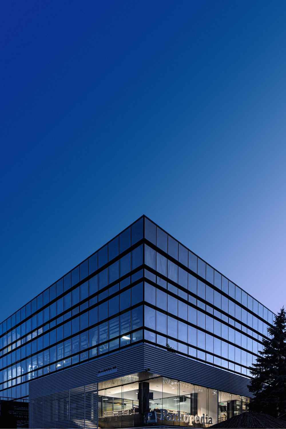 law image
