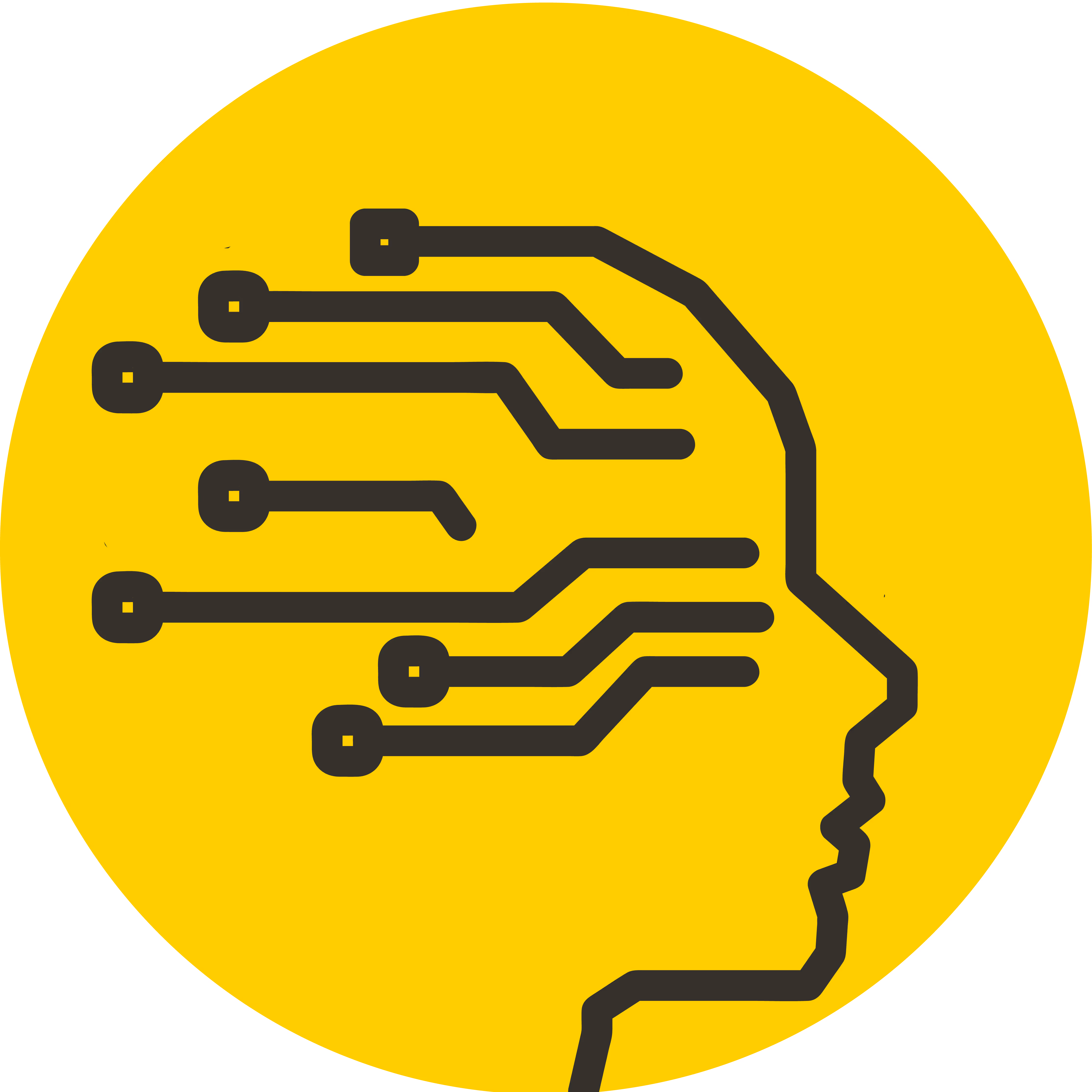 Computer Science & AI