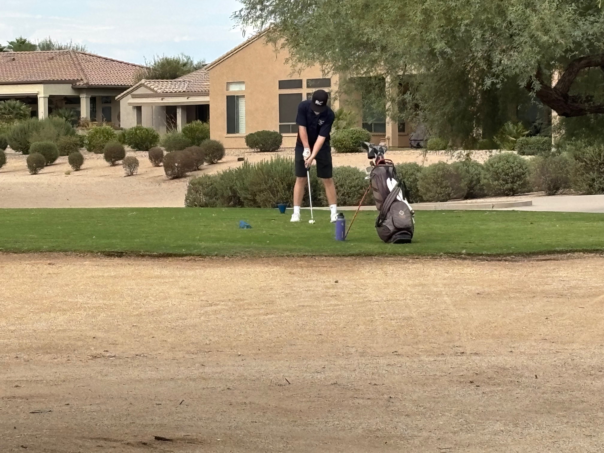 Willow Canyon High School