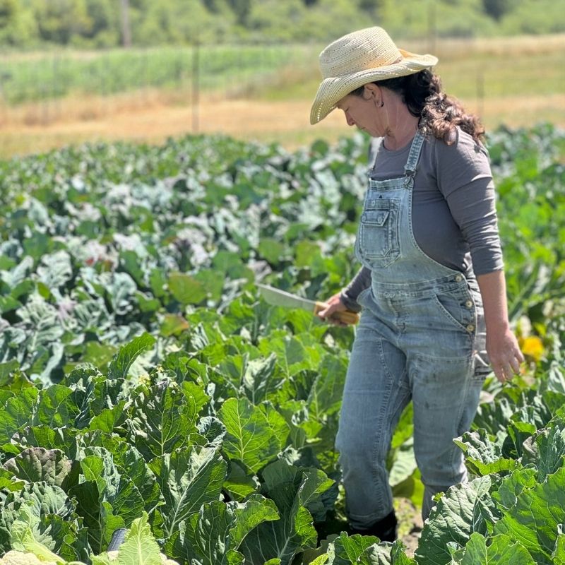 Melanie from Shakefork Community Farm