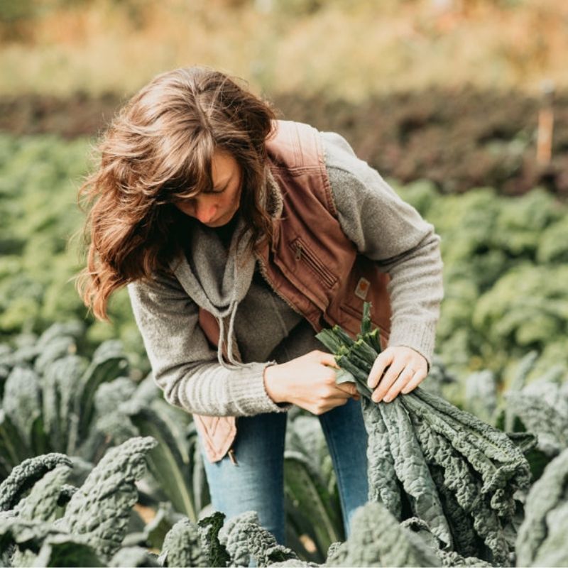 Halley from Still Life Farm