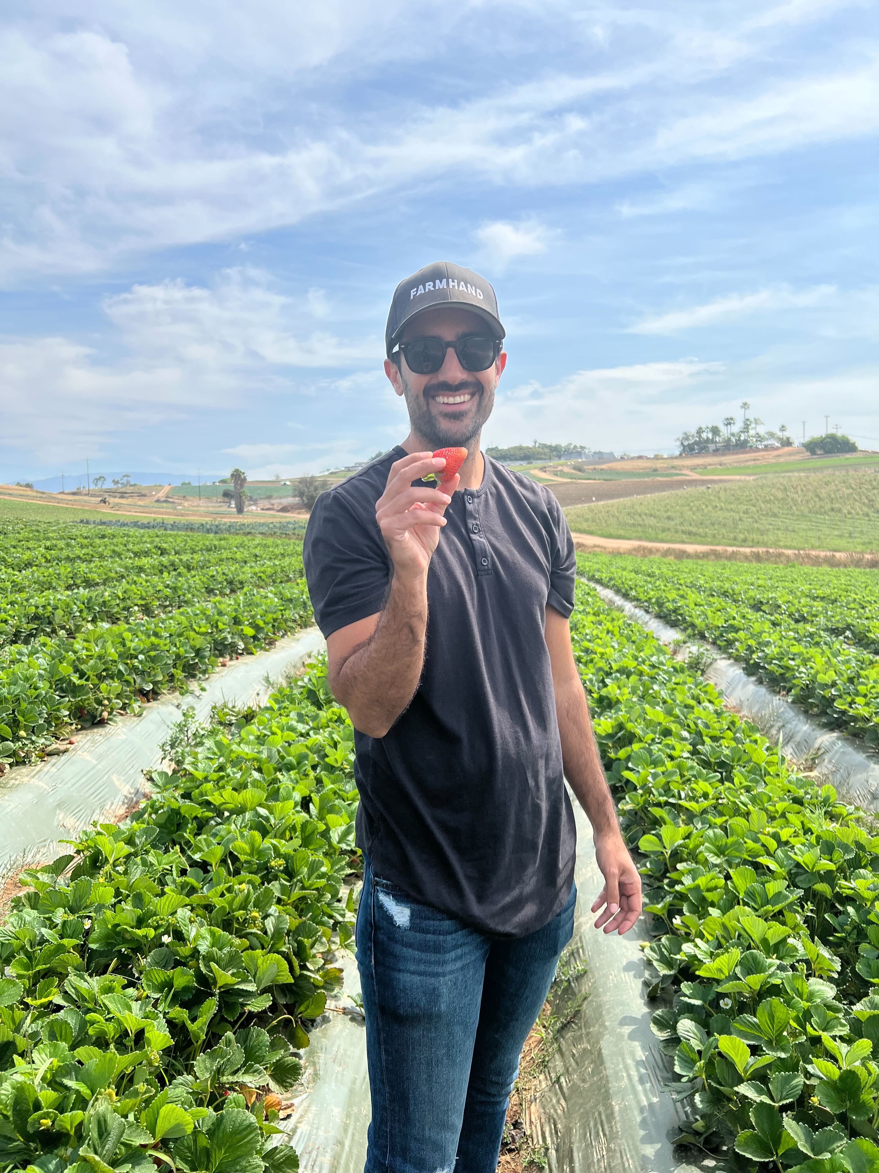 Placeholder — swap for a photo of Michael at JR Organics strawberry field