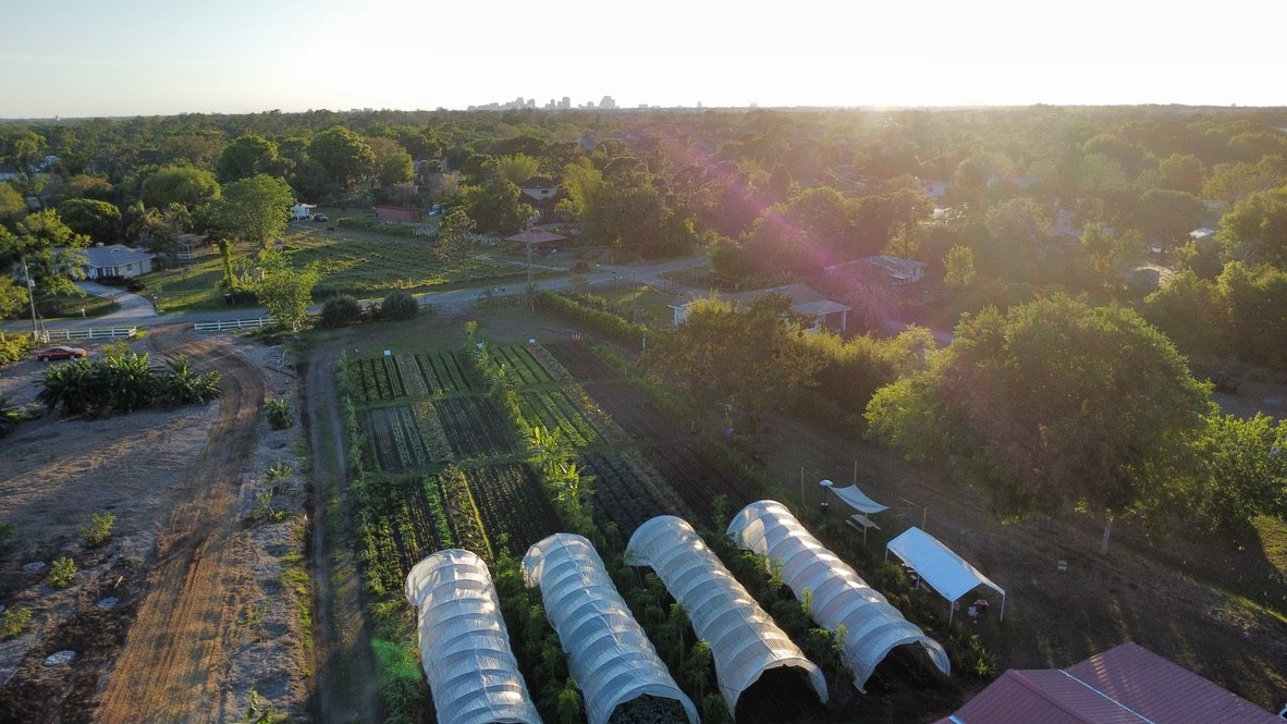 Everoak Farm from above at sunset, with downtown Orlando on the horizon