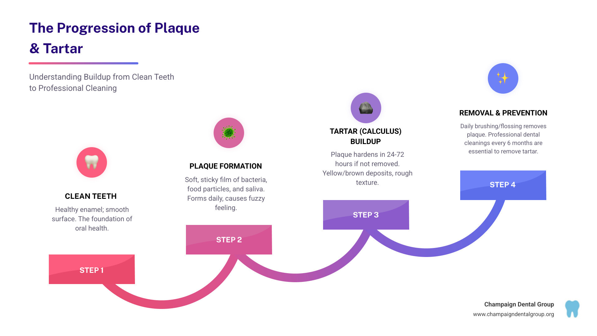 Comprehensive infographic showing the progression from clean teeth to plaque formation to tartar buildup, including timeline of development, visual comparison of healthy vs. affected teeth, and the distinction between what can be removed at home versus what requires professional treatment - Plaque and Tartar Removal infographic step-infographic-4-steps