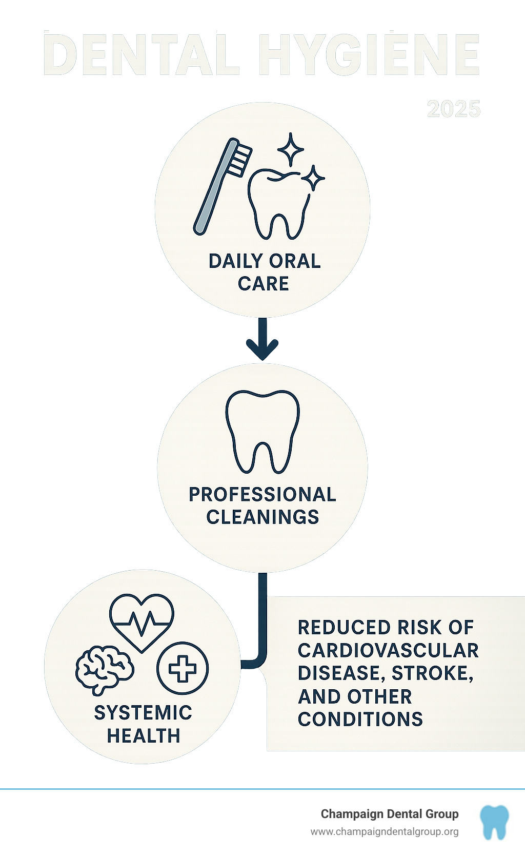 Comprehensive dental hygiene infographic showing the connection between daily oral care habits, professional cleanings, and systemic health benefits including reduced risk of cardiovascular disease, stroke, and other health conditions - Dental Hygiene infographic 