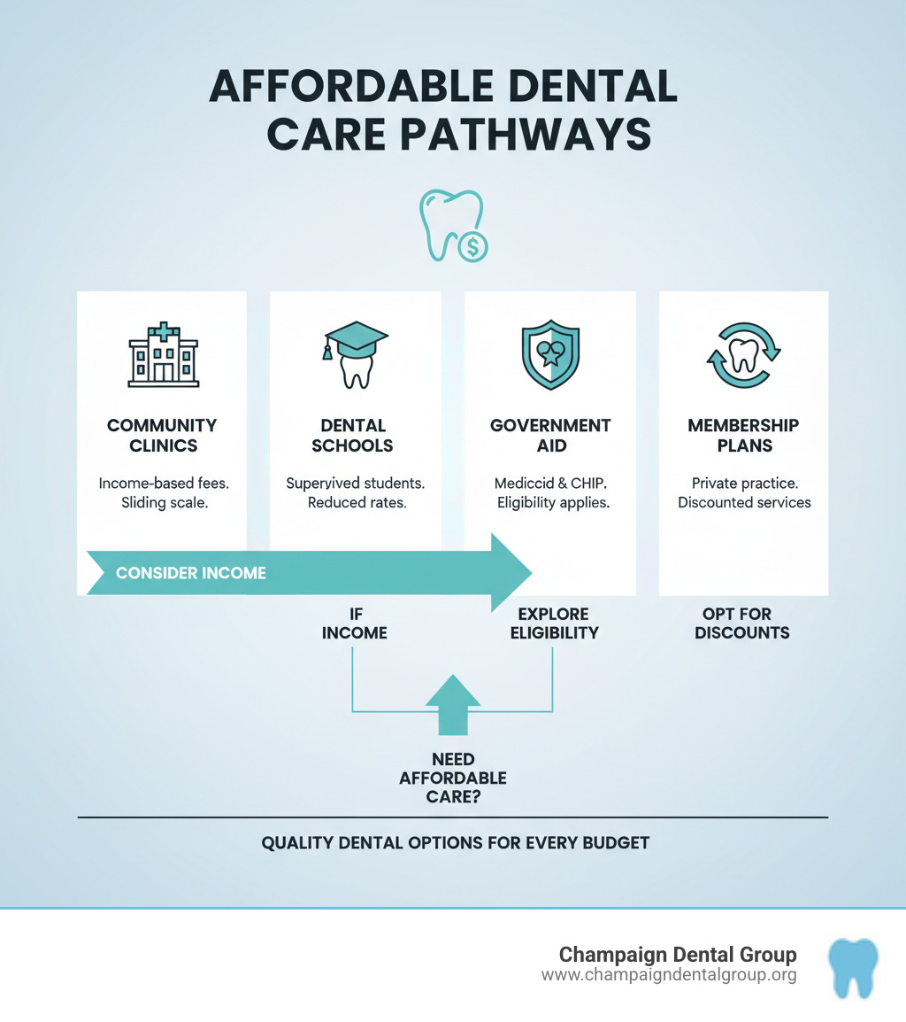 Comprehensive infographic showing pathways to affordable dental care including community clinics with income-based fees, dental school programs with student practitioners under supervision, government assistance programs like Medicaid and CHIP, and private practice membership plans, with icons representing each option and arrows showing the decision-making process - affordable dentist infographic  Comprehensive infographic showing pathways to affordable dental care including community clinics with income-based fees, dental school programs with student practitioners under supervision, government assistance programs like Medicaid and CHIP, and private practice membership plans, with icons representing each option and arrows showing the decision-making process - affordable dentist infographic
