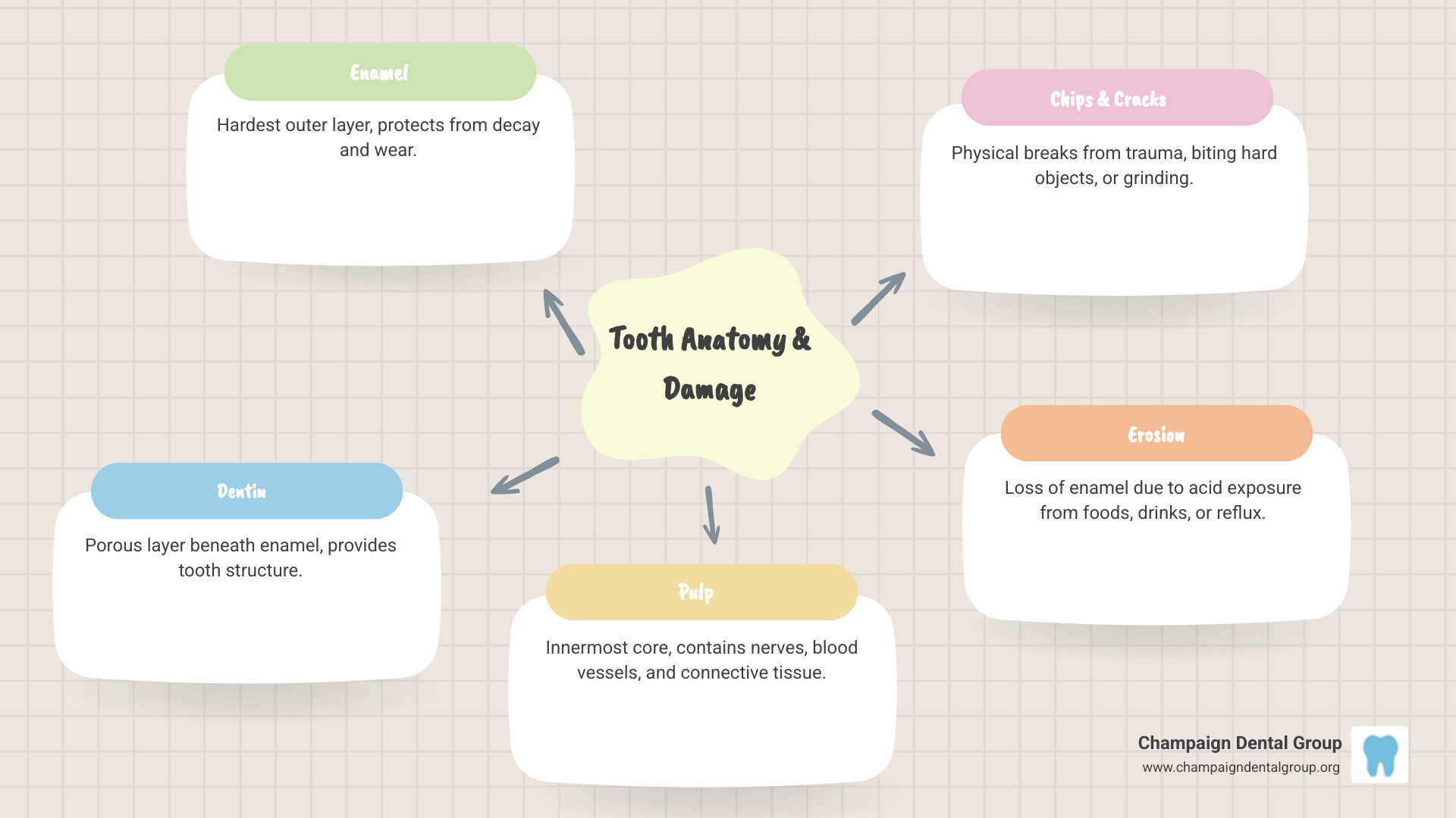 Detailed infographic showing tooth anatomy with labeled enamel layer, dentin layer, and pulp chamber, plus common types of surface damage including chips, cracks, and erosion patterns - Tooth Surface Repair infographic mindmap-5-items
