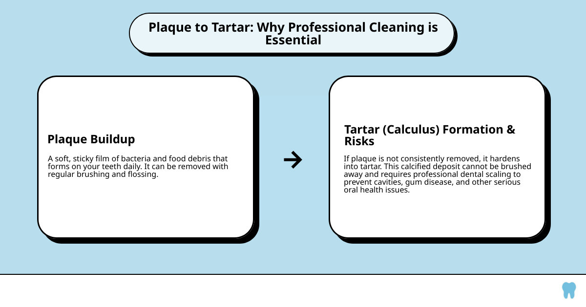 Infographic showing the progression from plaque buildup to tartar formation, illustrating why professional dental cleaning is necessary to remove hardened tartar that regular brushing cannot eliminate, with visual comparison of healthy teeth versus teeth with plaque and tartar buildup - Teeth cleaning cost infographic cause_effect_text