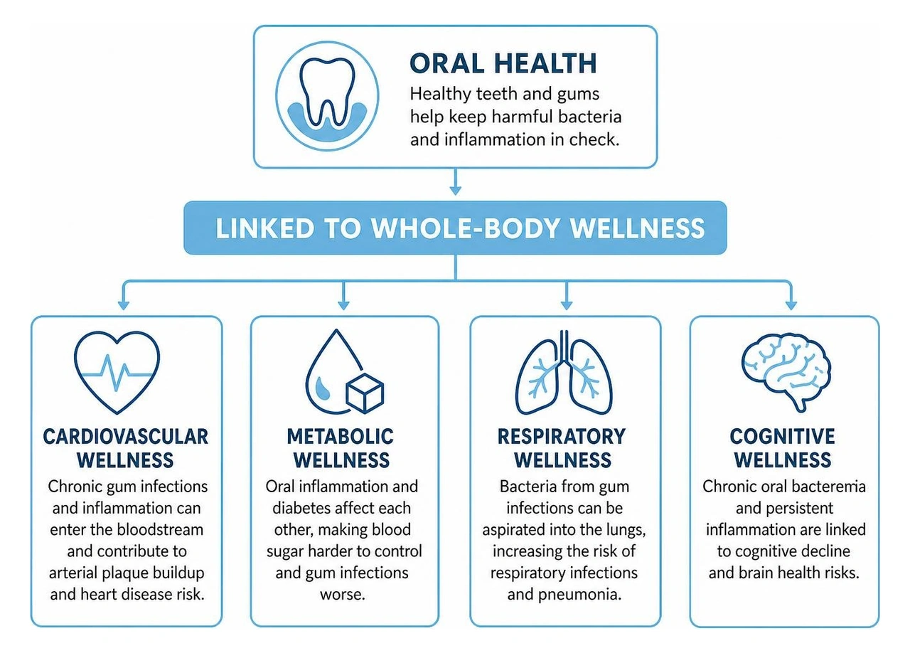 Oral health link to cardiovascular, metabolic, respiratory, and cognitive wellness Oral health link to cardiovascular, metabolic, respiratory, and cognitive wellness