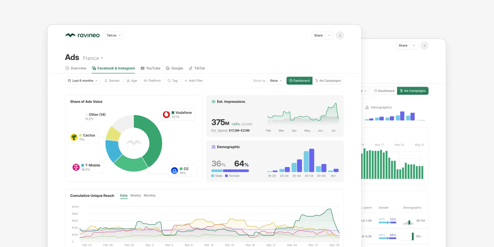 Ravineo dashboards