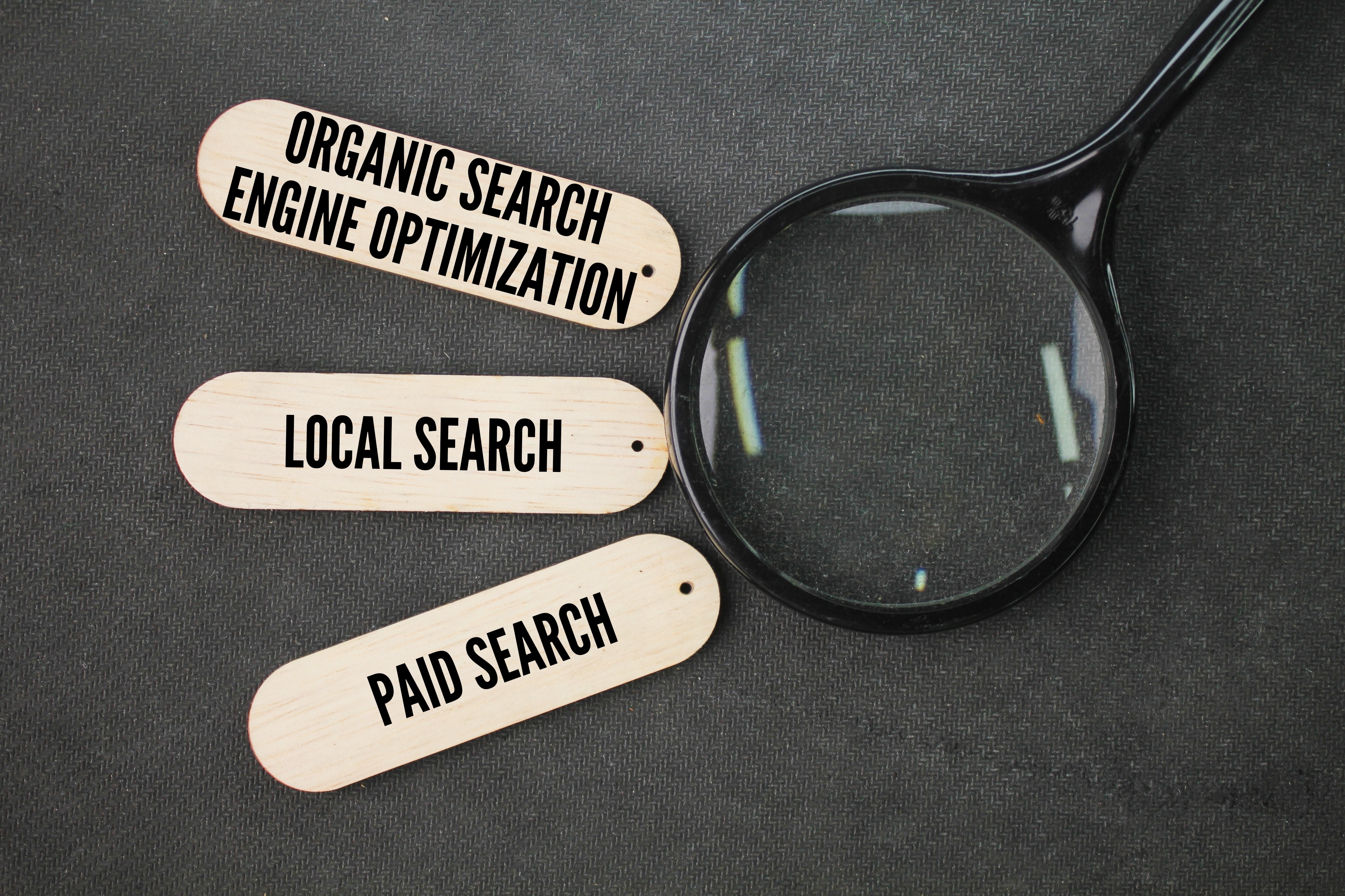 Magnifying glass with organic local and paid search engine optimization, Maryville TN