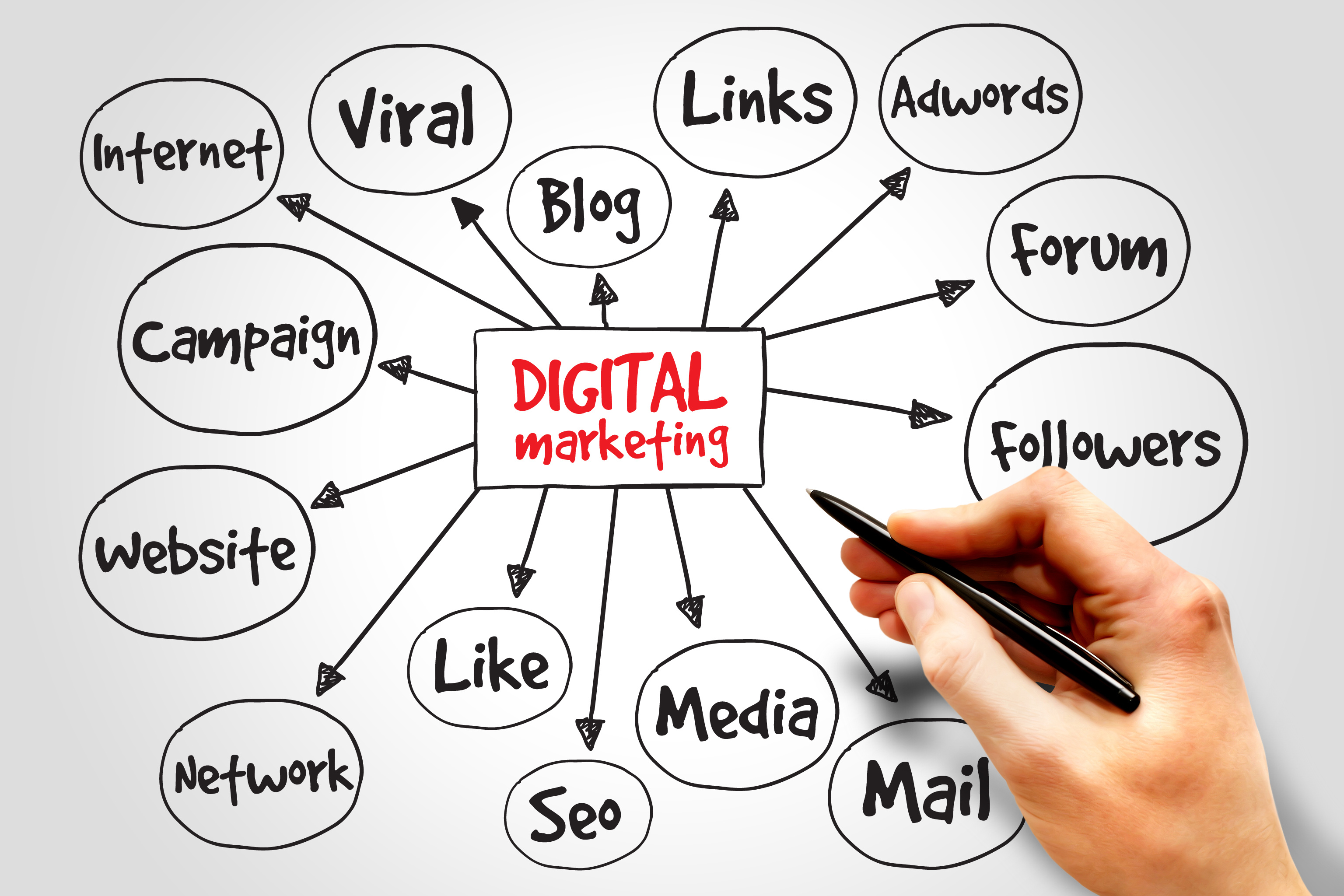 SEO and digital marketing analytics concept, Knoxville TN