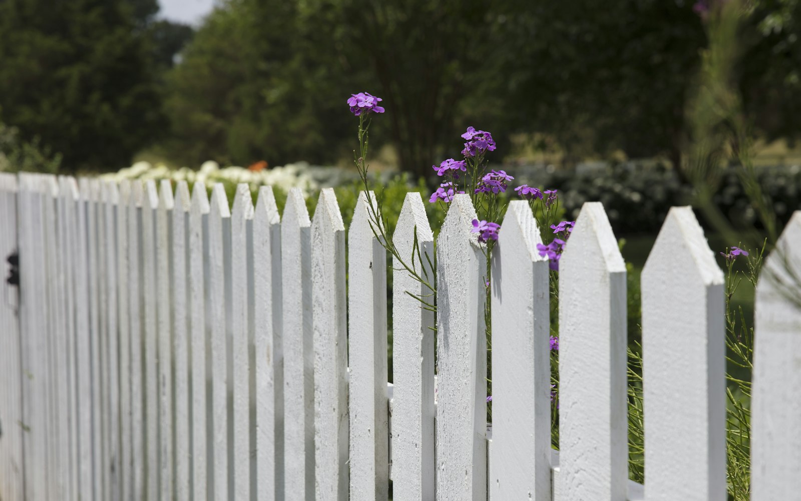 Fencing
