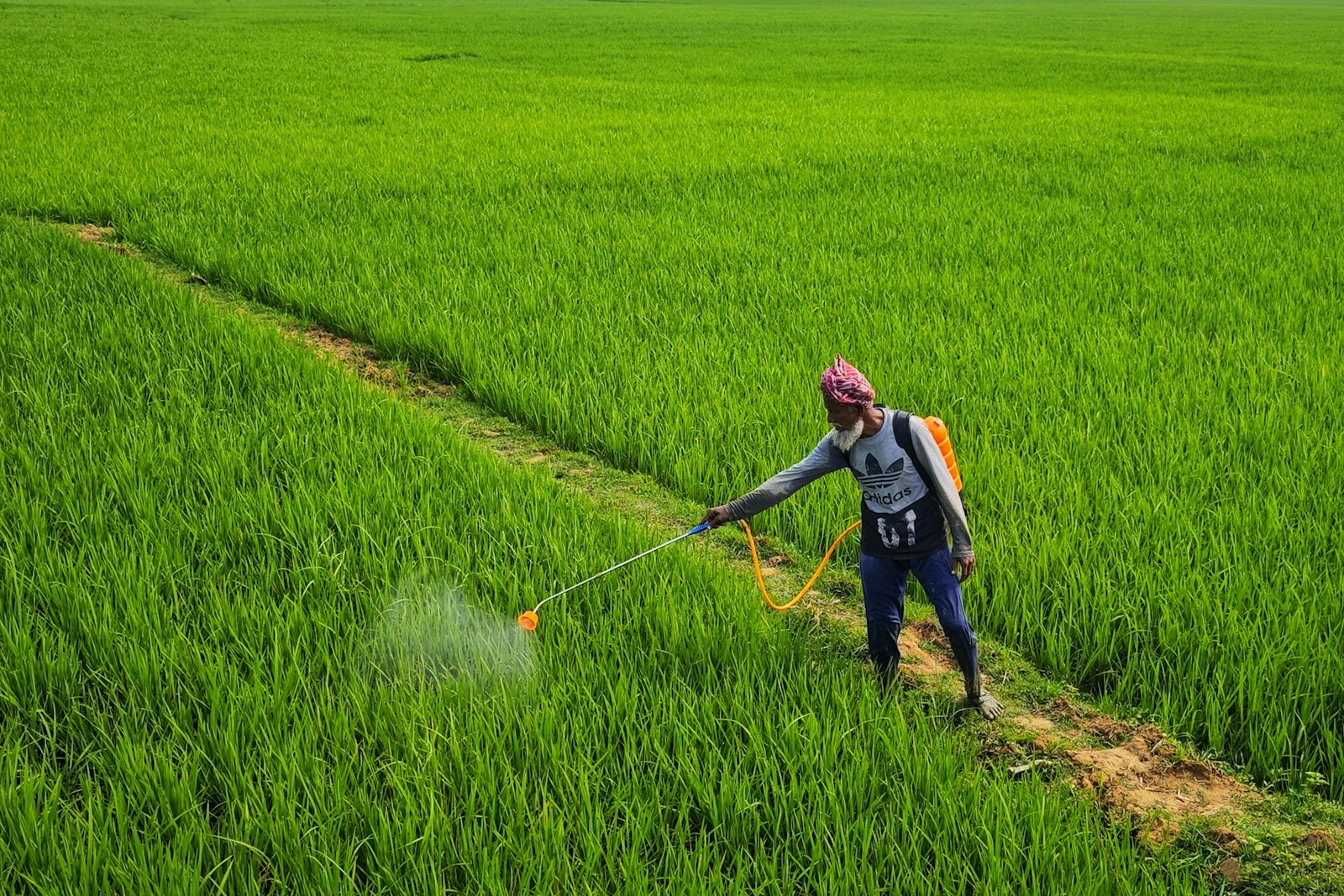 Pest control technician spraying treatment outdoors